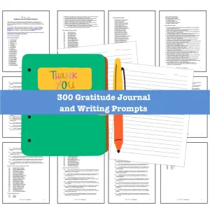 300 Gratitude Journal Prompts - Copy & Paste with PLR Rights