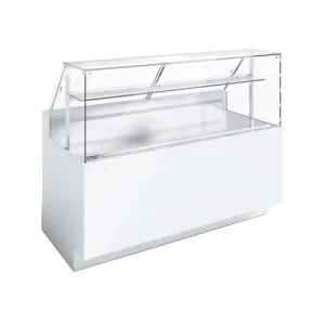 Advanced Gourmet SQ10R413RV130I Display Case