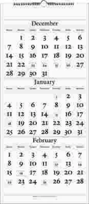 At-A-Glance Three-Months-Per-Page Reference Wall Calendar Vertical Format 12-1/4 X 27