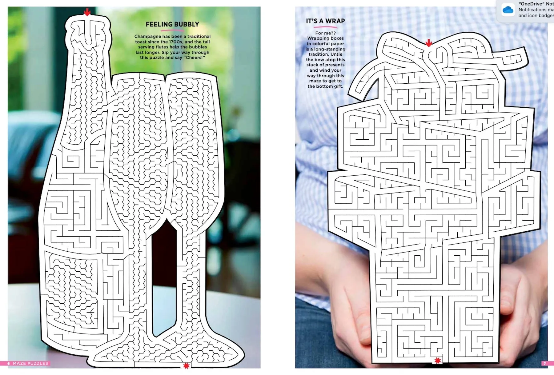 Best Of Brain Fun - Mazes: 48 Puzzles for All Skill Levels with 6 Sections of Fun! Challenge Readers and Elevates the "Maze Craze" to a Whole New Level with Real Life Images!