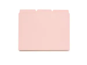 File Folders - Pink Lemonade