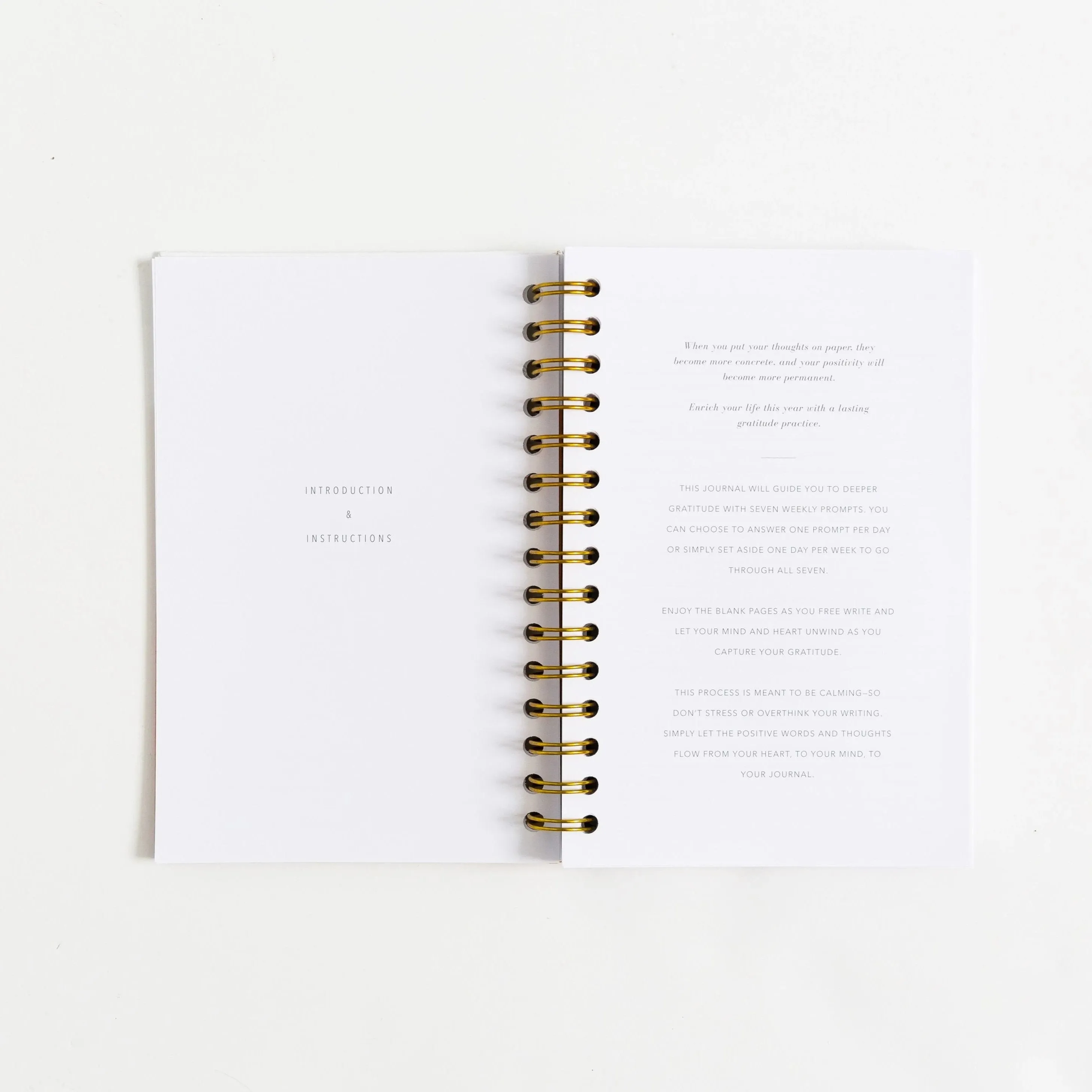 Gratitude Journals - Dusty Rose by Promptly Journals