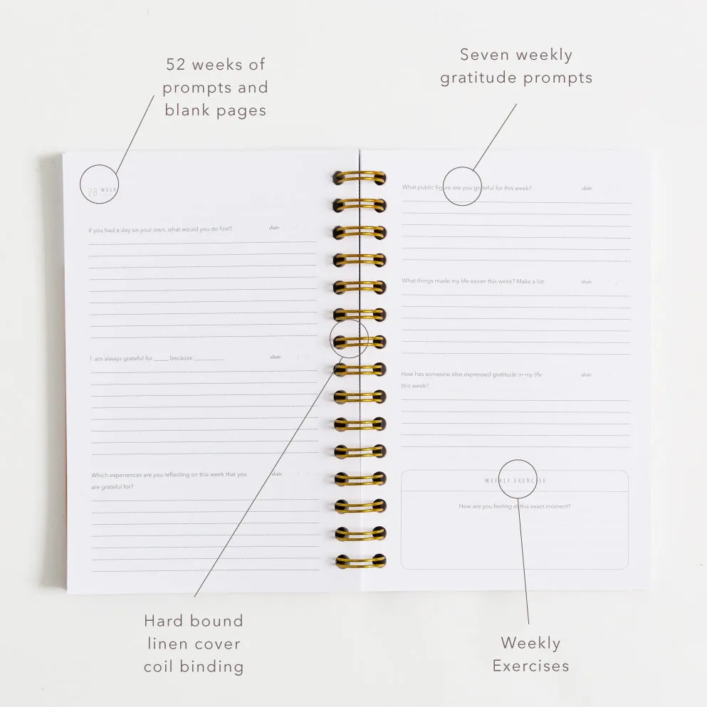 Gratitude Journals - Dusty Rose by Promptly Journals