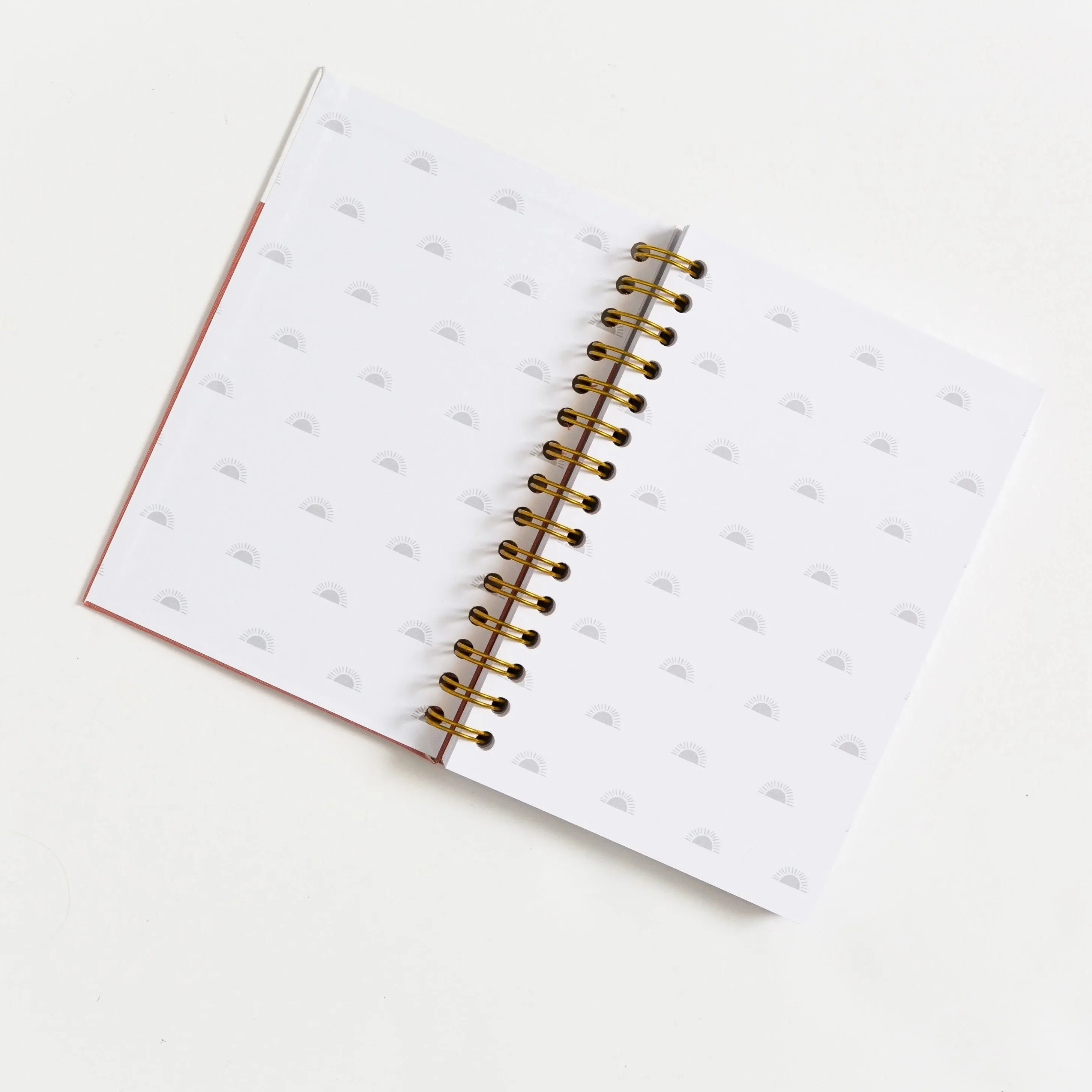 Gratitude Journals - Dusty Rose by Promptly Journals