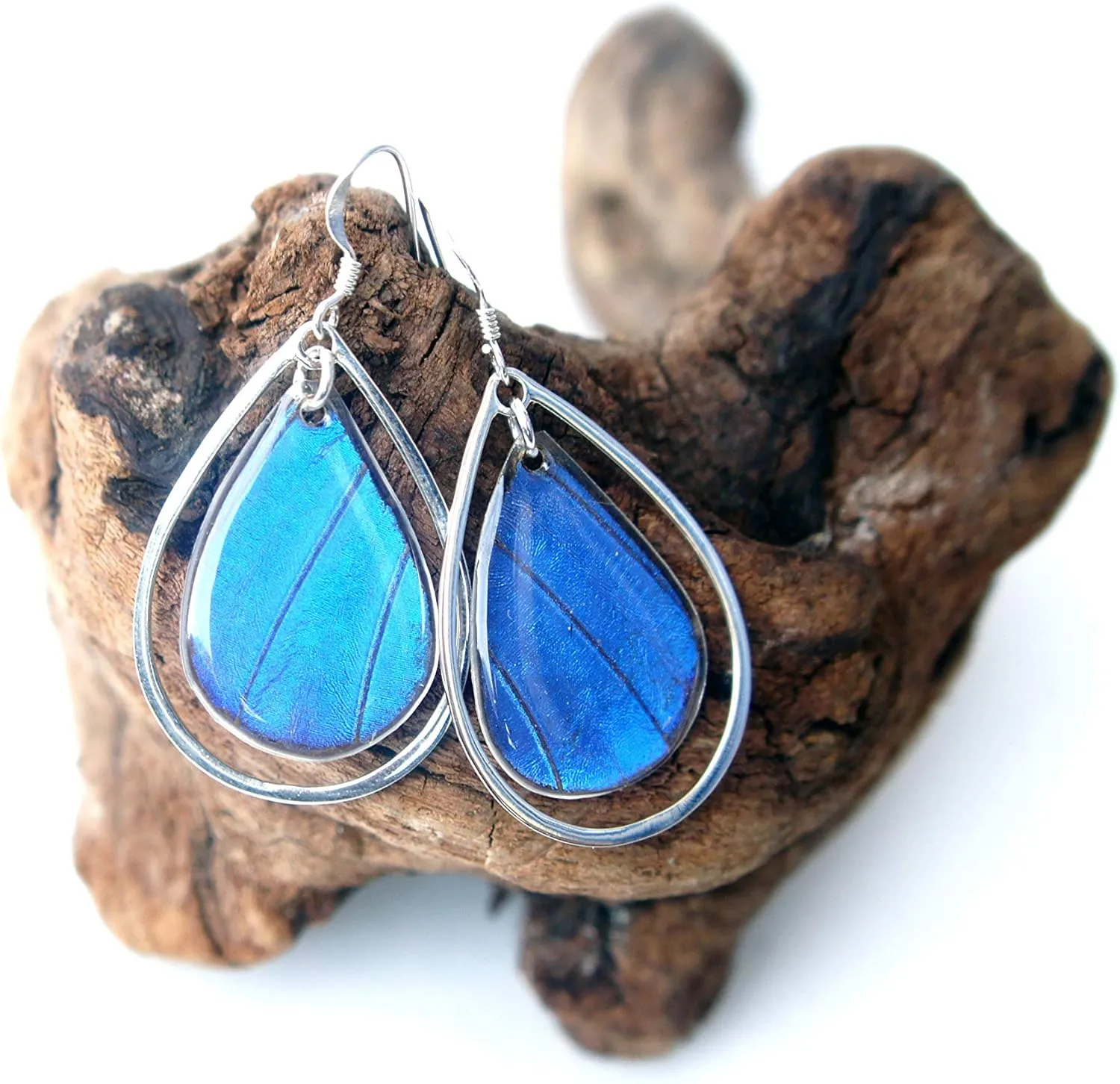 Real Blue Morpho Butterfly Wing Earrings in Sterling Silver - Insect Jewelry