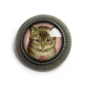 Victorian Tabby Cat Reverse Decoupage Glass And Brass Brooch