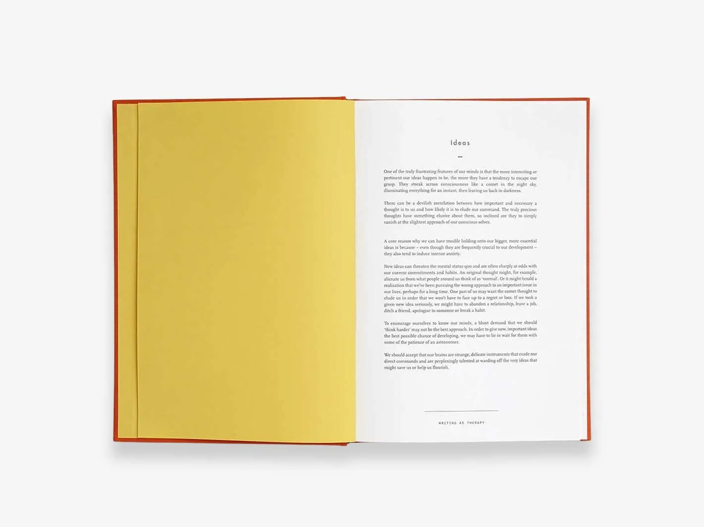 Writing as Therapy Journal - Ideas